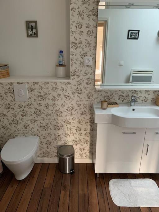 Appartement Duplexcoeur De Ville Metz Luaran gambar